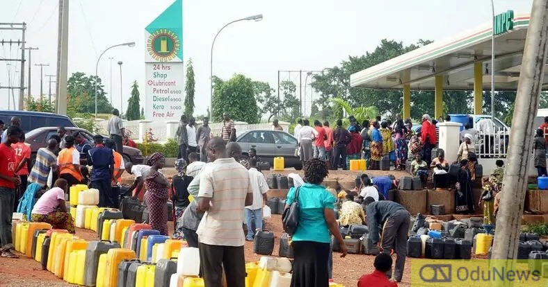 Fuel Scarcity: IPMAN Urges FG To Impose Fixed Price On Private Depots  