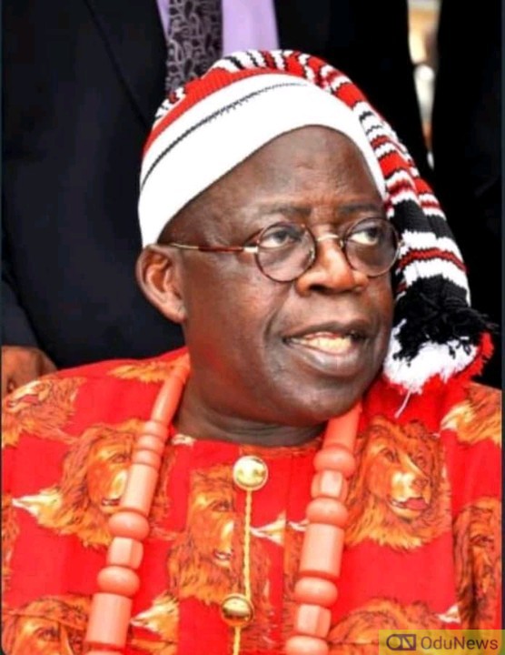 #APCPresidentialPrimaries: Tinubu's Emergence Will Fuel Igbos Agitations - Ohanaeze Ndigbo  