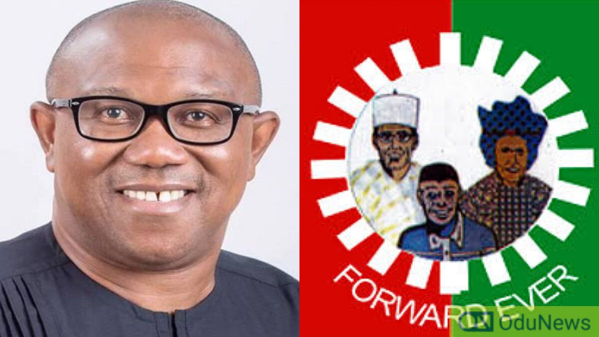 Focus On Our Candidate, Peter Obi's Campaign Team To Supporters  