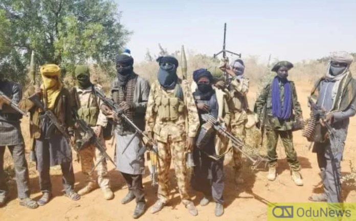 Ansaru Terrorists Take Over Kaduna Communities, Ban Political Activities  