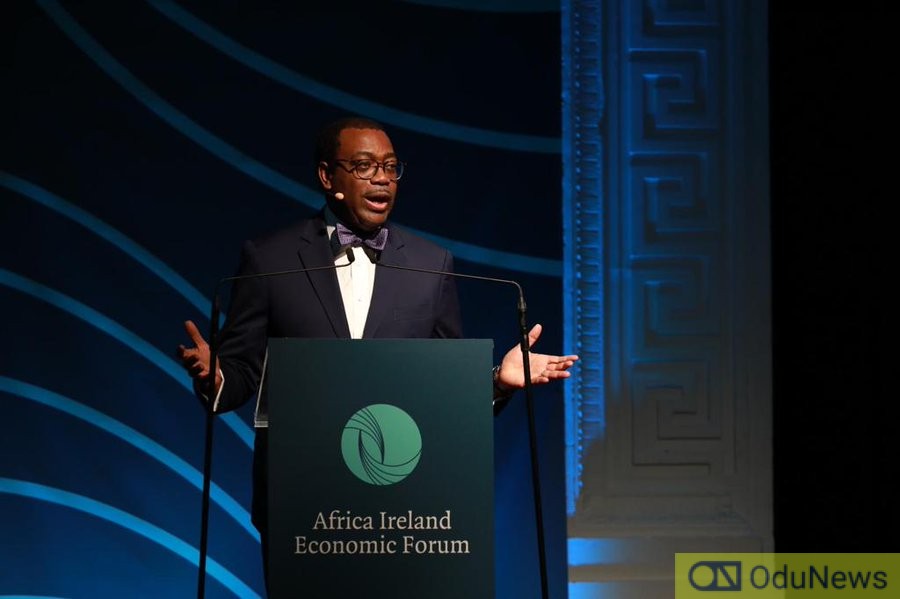 You're Not In Business If You're Not Investing In Africa - AfDB Boss Adeshina To Irish Business Community  