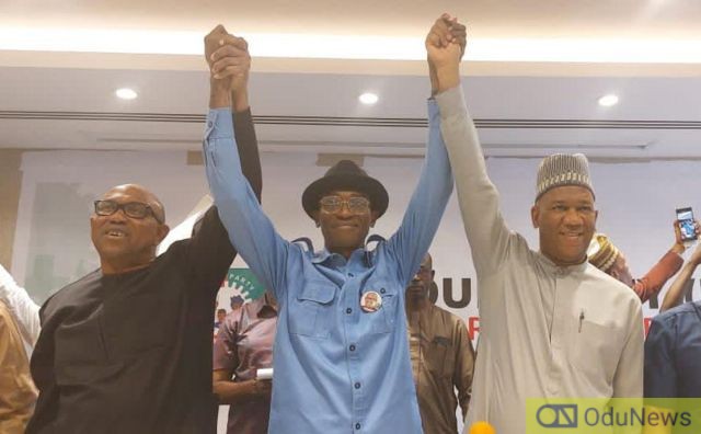 Mauritanian Root, 2023 PDP Governorship Aspirant - 9 Facts About Peter Obi's Running Mate, Datti Baba-Ahmed  