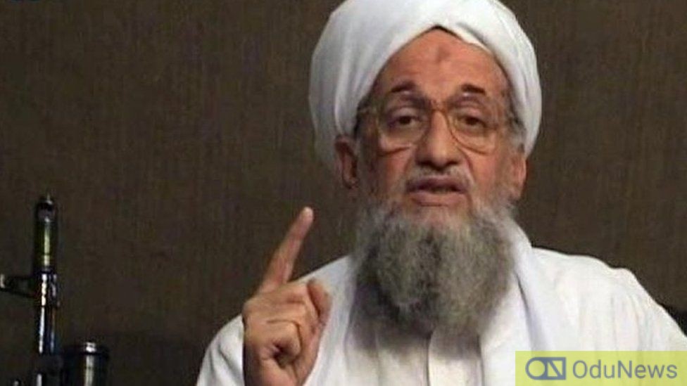 Al Qaeda: Osama Bin Laden's Successor Killed In U.S Drone Attack  