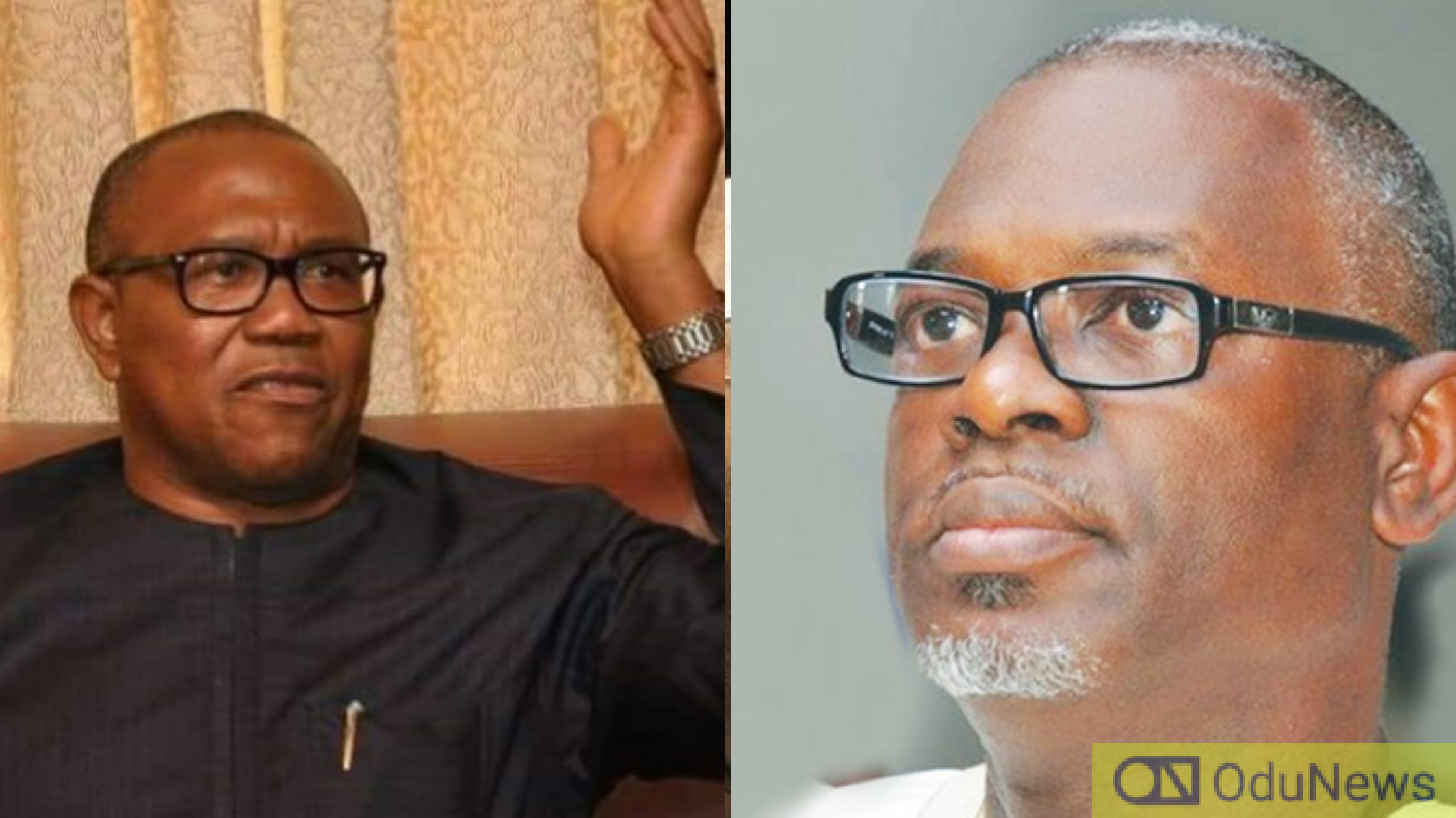 Why I Was Appointed Peter Obi's Campaign DG - Osuntokun  