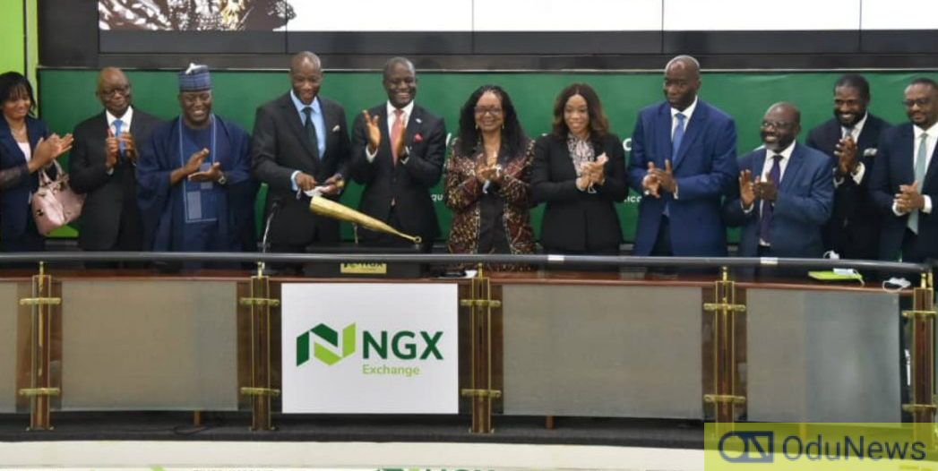 Local Stock Market Sheds N19bn  