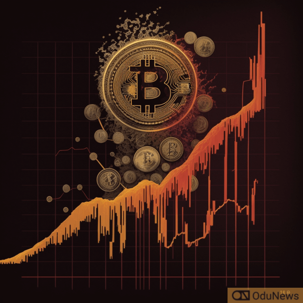 bitcoin will rise or fall