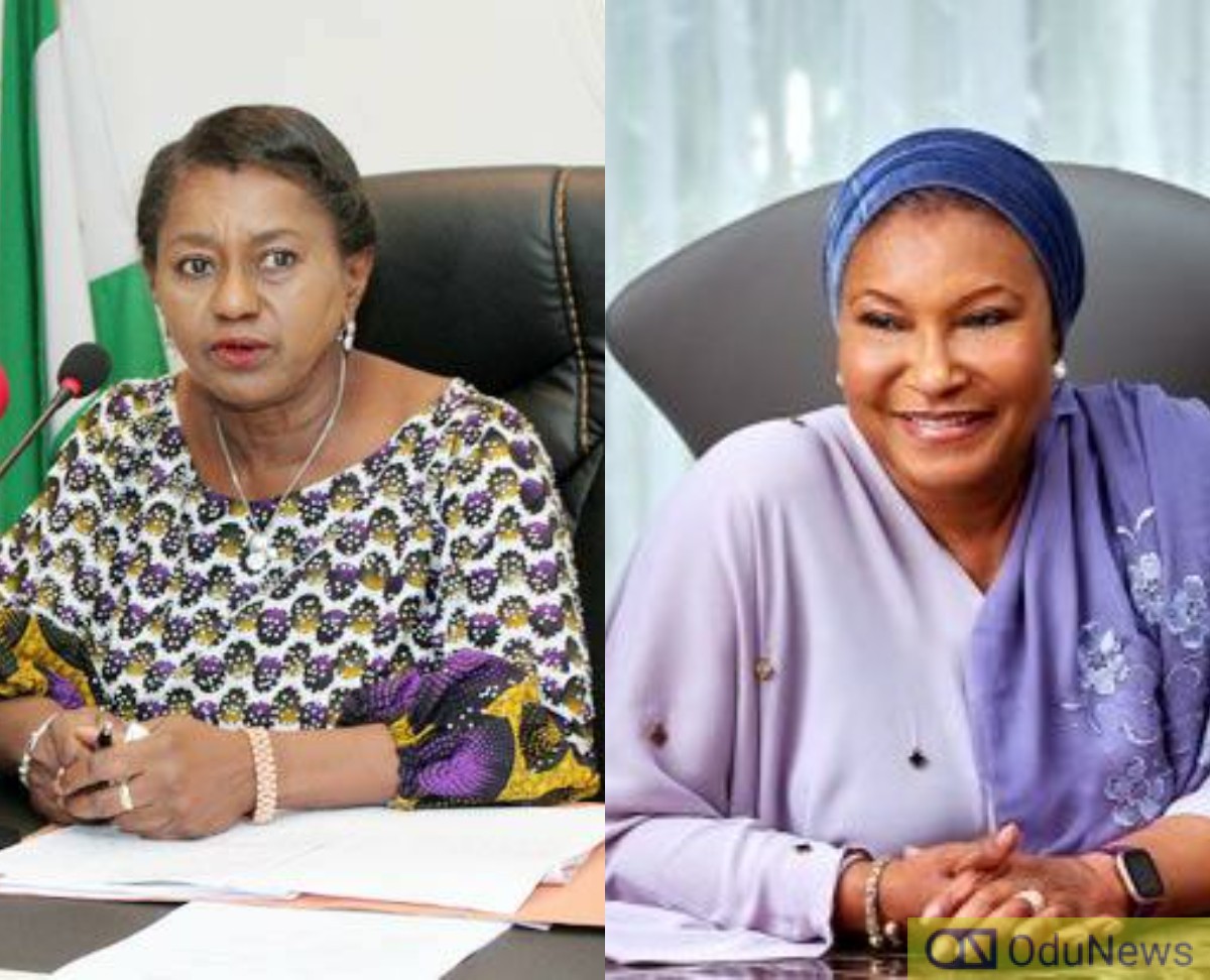 #IWD2023: Women Get Paltry 15 Out Of 423 National Assembly Seats  