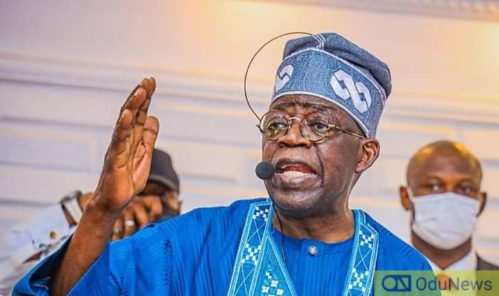 I Will Fulfill All My Campaign Promises - Tinubu  