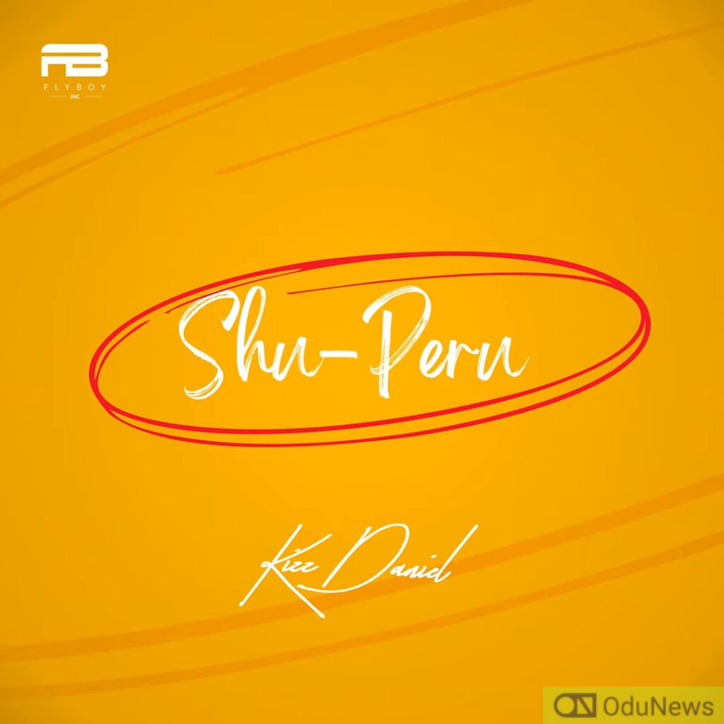 Kizz Daniel Surprises Fans with New Single "Shu-Peru"