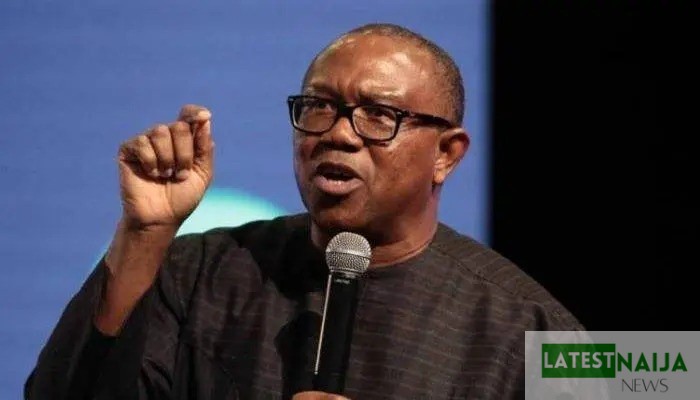 Peter Obi Criticizes Police Ban on Palliative Distribution, Calls for Policy Review  