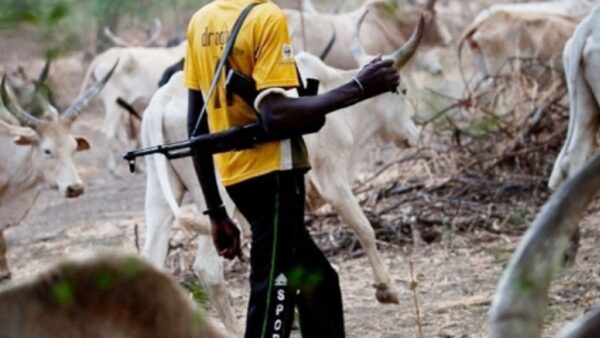 BREAKING: Herdsmen Attack Claims 16 Lives in Benue