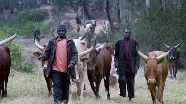 Village in Benue State Ravaged by Suspected Herdsmen Attack