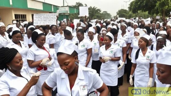 JAPA: Nurses Challenge New Verification Guidelines in Court