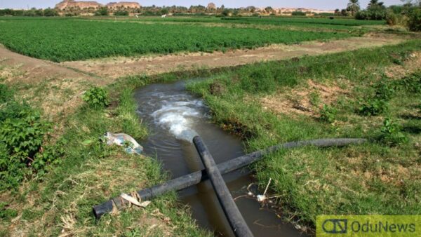 FG to Complete Middle Ogun Irrigation Project, Promises 8,000 Jobs and Boost in Food Production