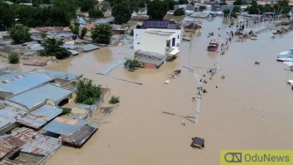 UAE Sends 50 Tons of Humanitarian Aid to Nigeria for Flood Victims