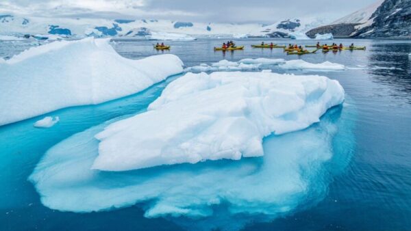 Antarctica’s Sea Ice Hits Historic Low for Second Year in a Row, Raising Global Concerns