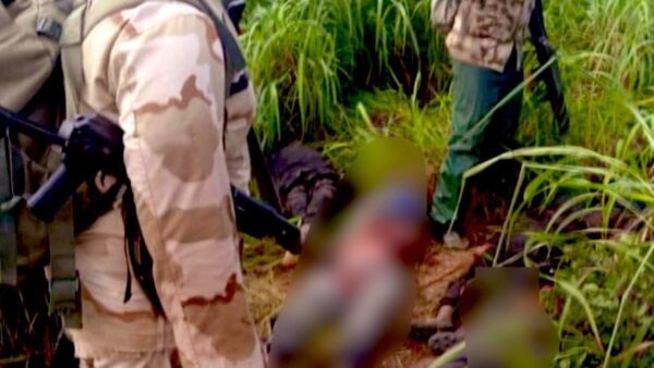 Troops Rescue 86 Kidnap Victims, Arrest 29 Boko Haram Collaborators in Borno