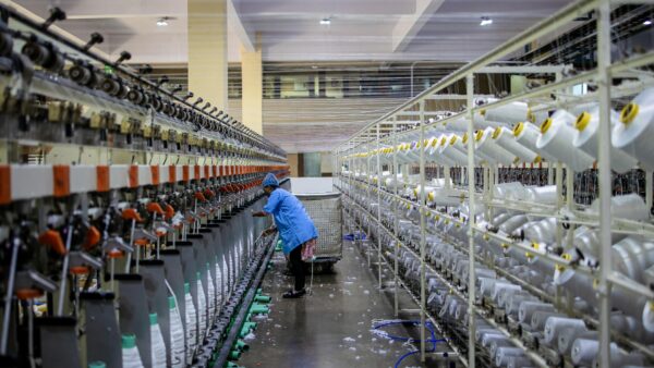 Cadbury’s 39% profit collapse should alarm every Nigerian watching corporate earnings