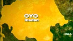 Oyo State confirms Lassa fever case at UCH Ibadan