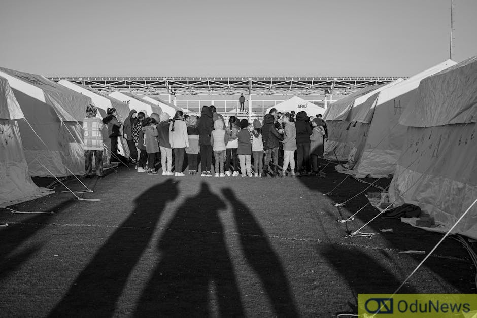 WHO Reports Four Million Displaced in Middle East Conflict Crisis