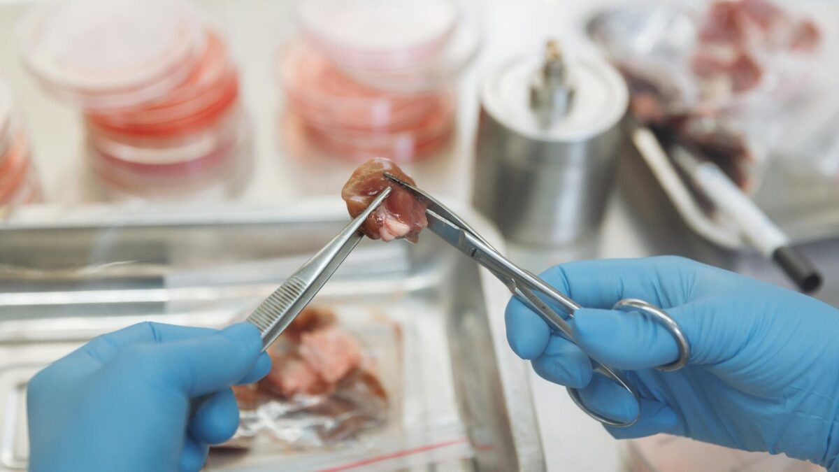 medical research laboratory cancer cells