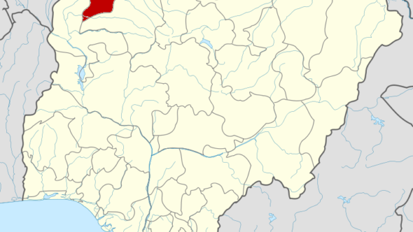 Meningitis outbreak kills several in Sokoto village