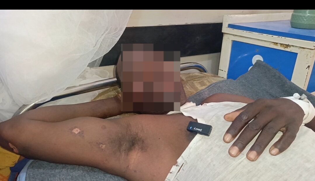 Nigerian livestock market animal trading