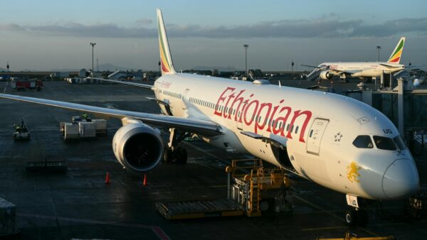 AfDB names Keyamo champion of $7bn African aviation drive