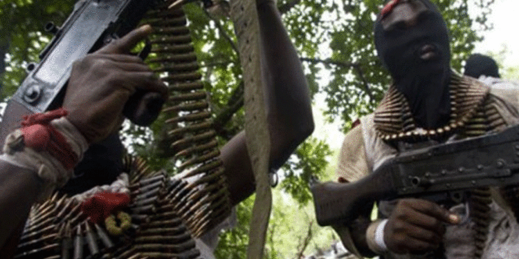 armed men holding guns dark forest