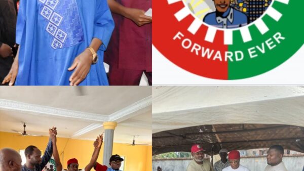 Labour Party picks Maku, Eze for June 20 by-elections