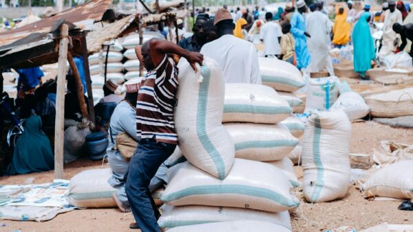 The Rice Price Map Nigeria Refuses to See