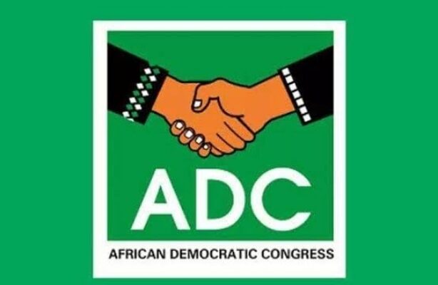 Nigerian political party election primary ballot