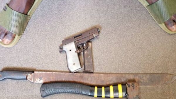 Police arrest 11 suspected cultists, recover guns in Delta