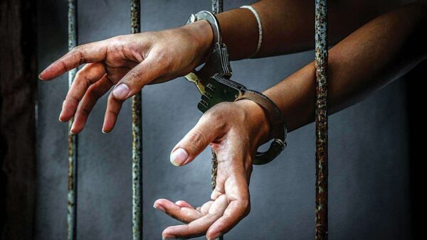 Police arrest two bandit informants, recover 97 animals in Sokoto