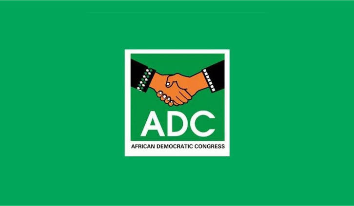 political party election primary voting