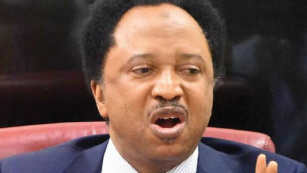 Youths must fund young candidates for elections, Shehu Sani says