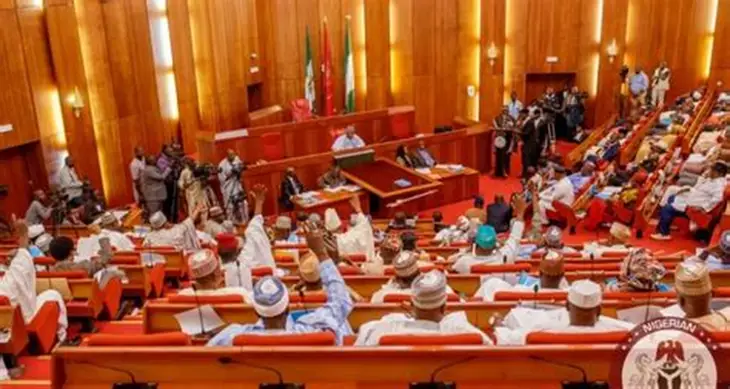 Nigerian parliament senate chamber debate