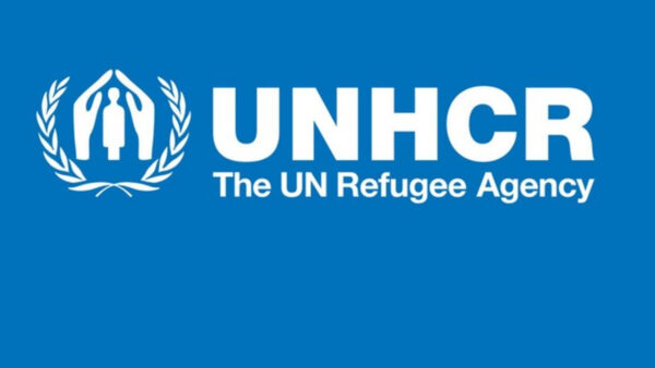Over 8,500 Nigerians flee to Niger, Cameroon, Chad amid insecurity